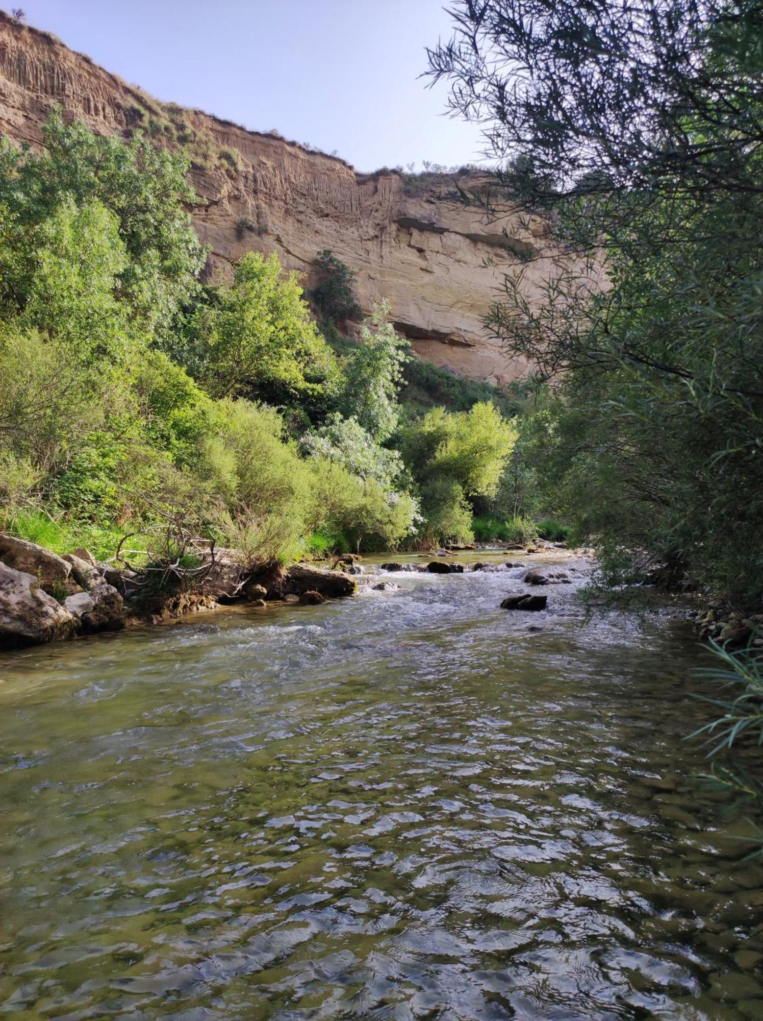 Guara Viva Abiego Daire Dış mekan fotoğraf